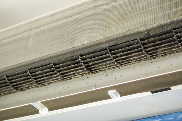 Best Affordable Air Duct Cleaning  in Troy, IL